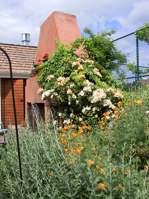 fireplace with roses