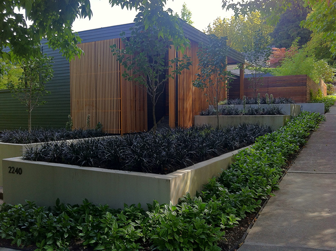 contemporary plantings