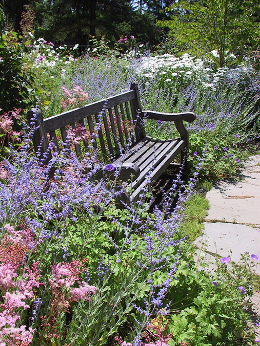 bench in garden