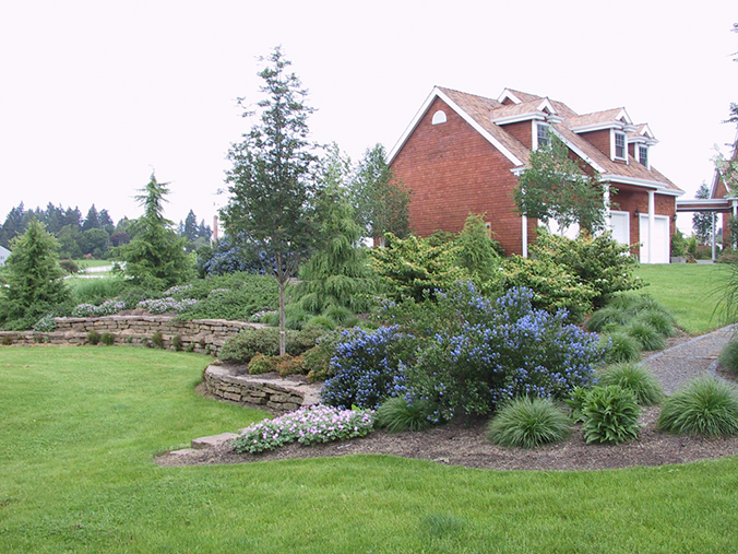 retaining wall and plantings