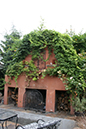 fireplace with vines