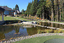 pond with stepping stone path