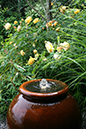 copper pot water feature