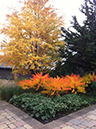 corner bed in fall